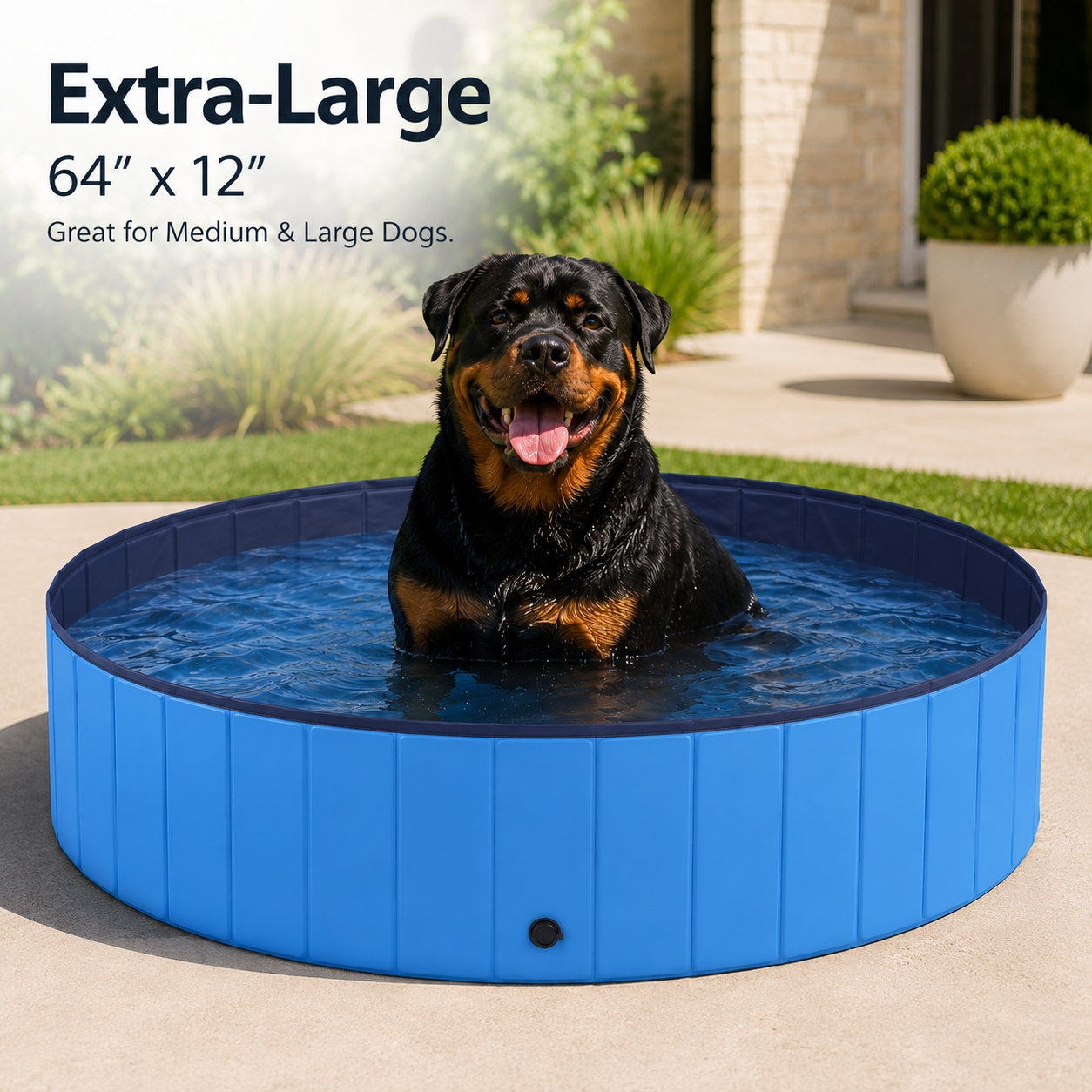 Summer Foldable Dog Pool for All Dog Sizes | Cozio Goods